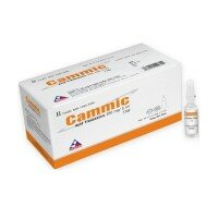 Cammic 250mg - Vinphaco