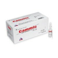 Cammic 500mg - Vinphaco